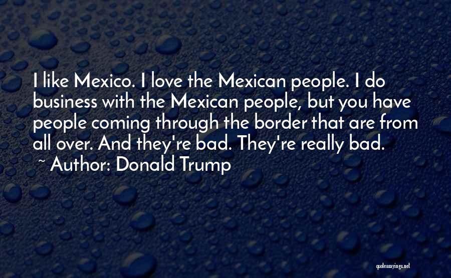 Mexican Border Quotes By Donald Trump