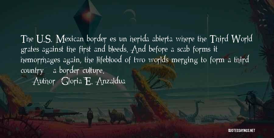 Mexican Border Quotes By Gloria E. Anzaldua