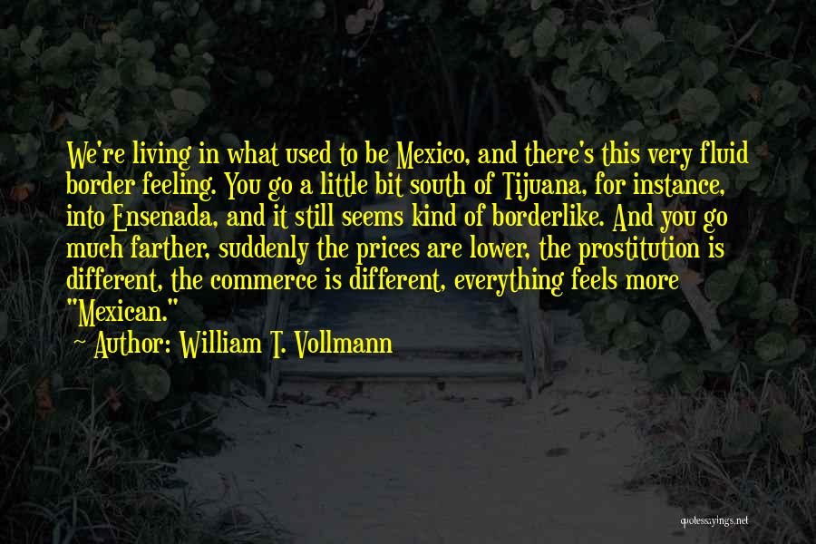 Mexican Border Quotes By William T. Vollmann