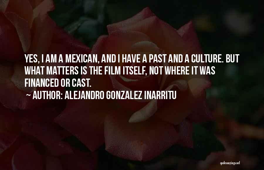 Mexican Culture Quotes By Alejandro Gonzalez Inarritu