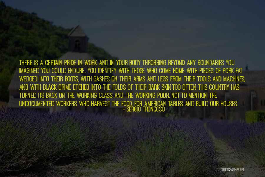 Mexican Immigrant Quotes By Sergio Troncoso Mexican Immigrant Quotes By Sergio Troncoso