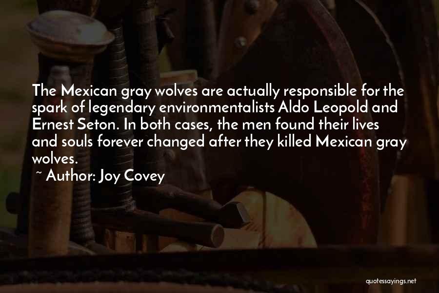 Mexican Quotes By Joy Covey