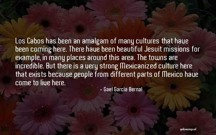 Mexico Culture Quotes By Gael Garcia Bernal Mexico Culture Quotes By Gael Garcia Bernal