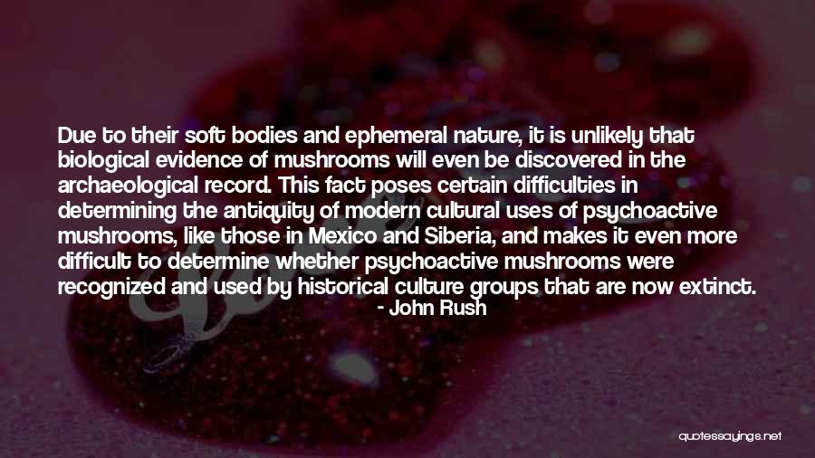 Mexico Culture Quotes By John Rush Mexico Culture Quotes By John Rush