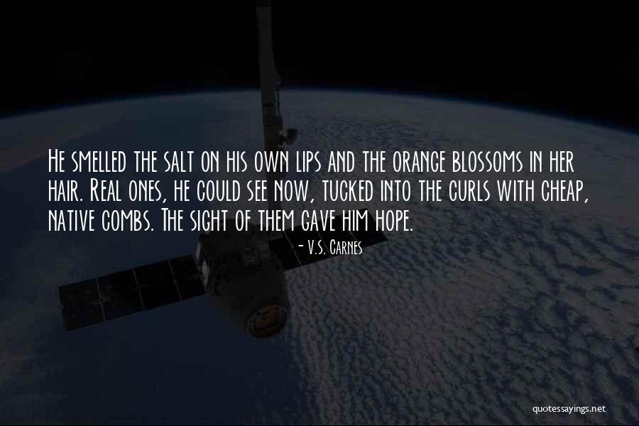 Meyer Enterprise Quotes By V.S. Carnes Meyer Enterprise Quotes By V.S. Carnes