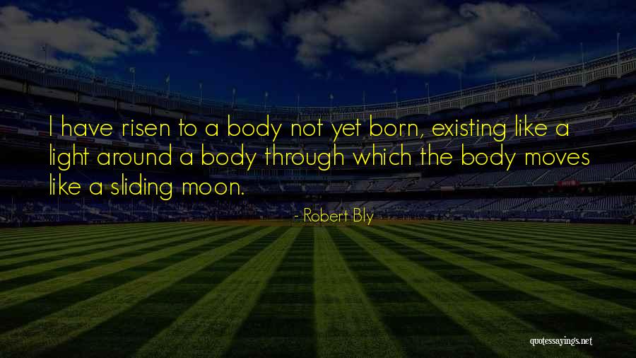 Meyerhofferite Quotes By Robert Bly Meyerhofferite Quotes By Robert Bly