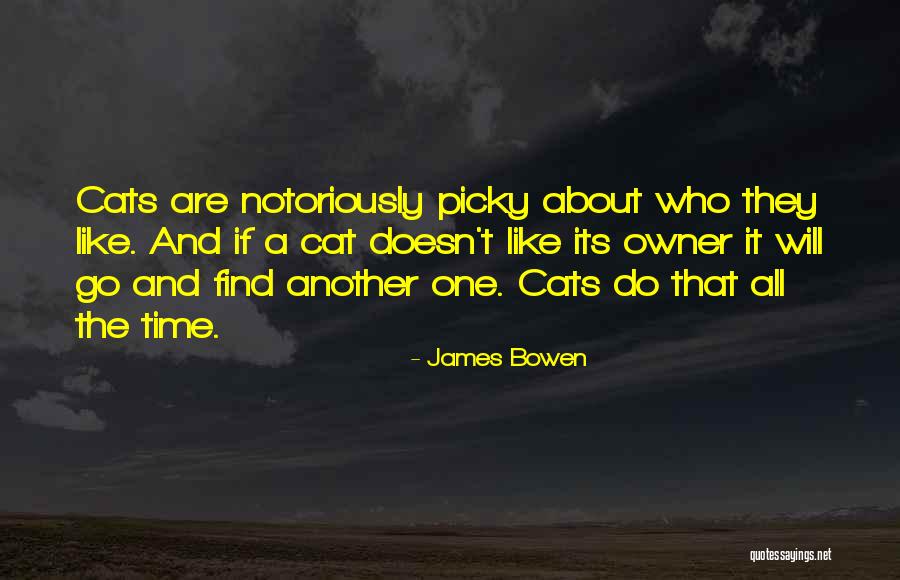 Meylin Andares Quotes By James Bowen Meylin Andares Quotes By James Bowen