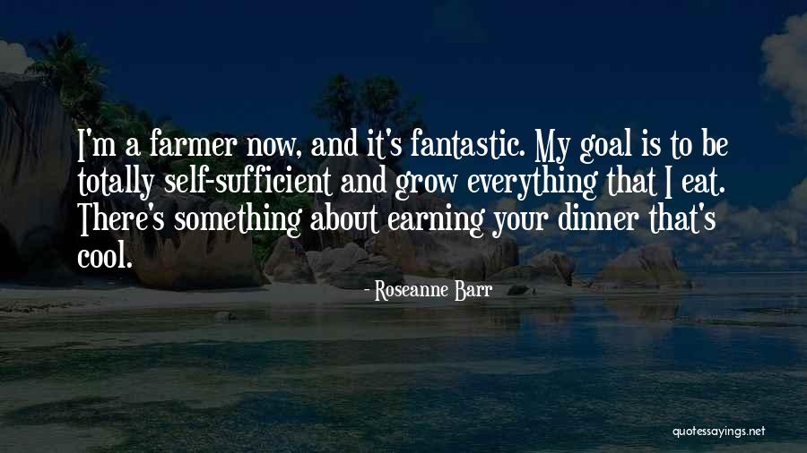 Meyner And Landis Quotes By Roseanne Barr Meyner And Landis Quotes By Roseanne Barr