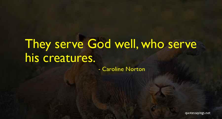 Mezzacappa Motorsports Quotes By Caroline Norton Mezzacappa Motorsports Quotes By Caroline Norton