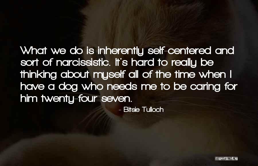 Mezzanotte Albany Quotes By Bitsie Tulloch Mezzanotte Albany Quotes By Bitsie Tulloch