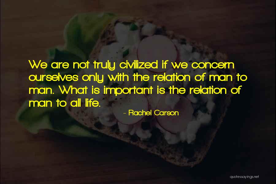 Mezzanotte Seattle Quotes By Rachel Carson Mezzanotte Seattle Quotes By Rachel Carson