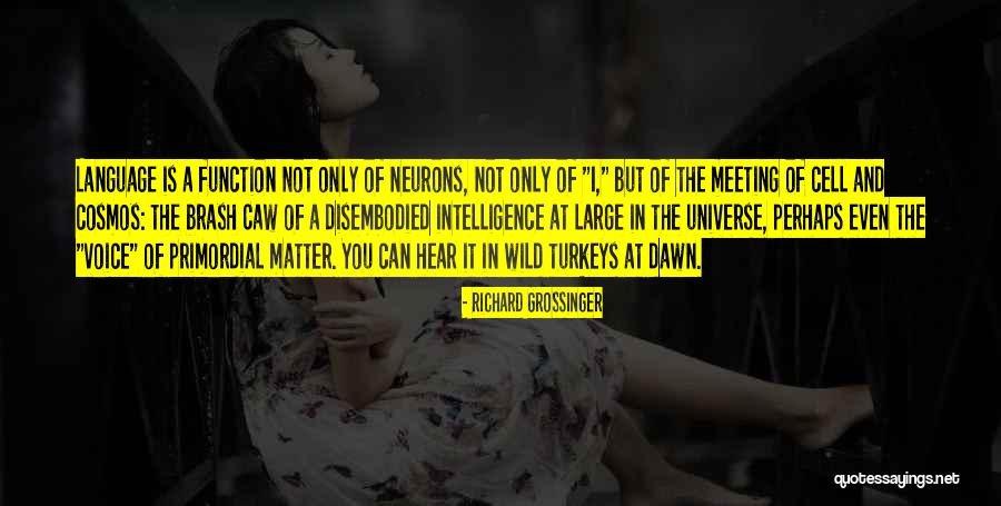 Mfiex Quotes By Richard Grossinger Mfiex Quotes By Richard Grossinger