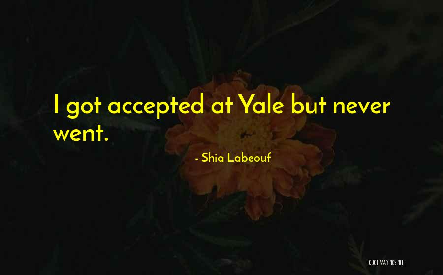 Mhamed Asaf Quotes By Shia Labeouf Mhamed Asaf Quotes By Shia Labeouf