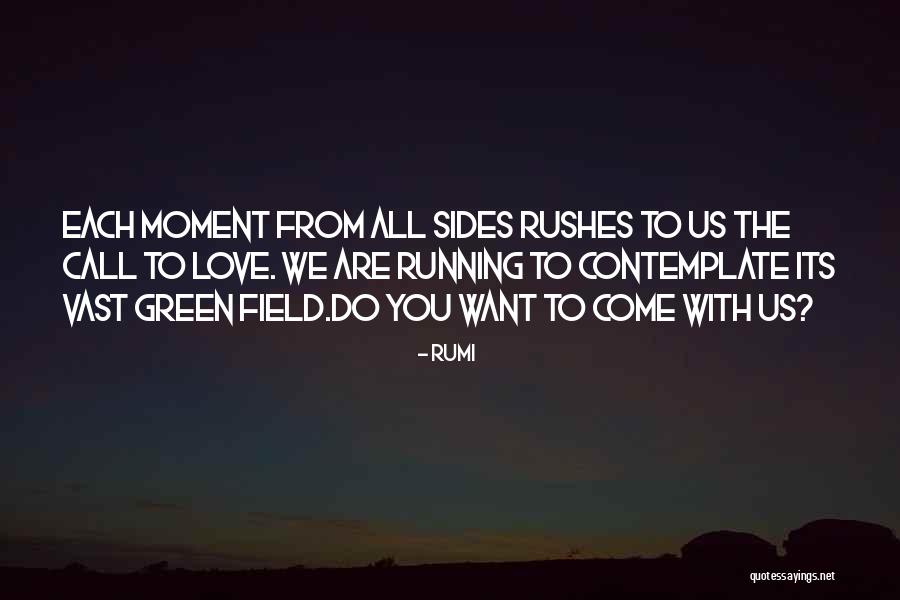 Mhi Partnership Quotes By Rumi Mhi Partnership Quotes By Rumi