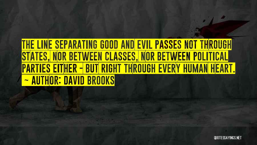 Mhrv Quotes By David Brooks