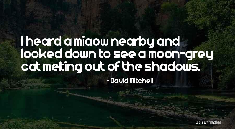 Miaow Quotes By David Mitchell Miaow Quotes By David Mitchell