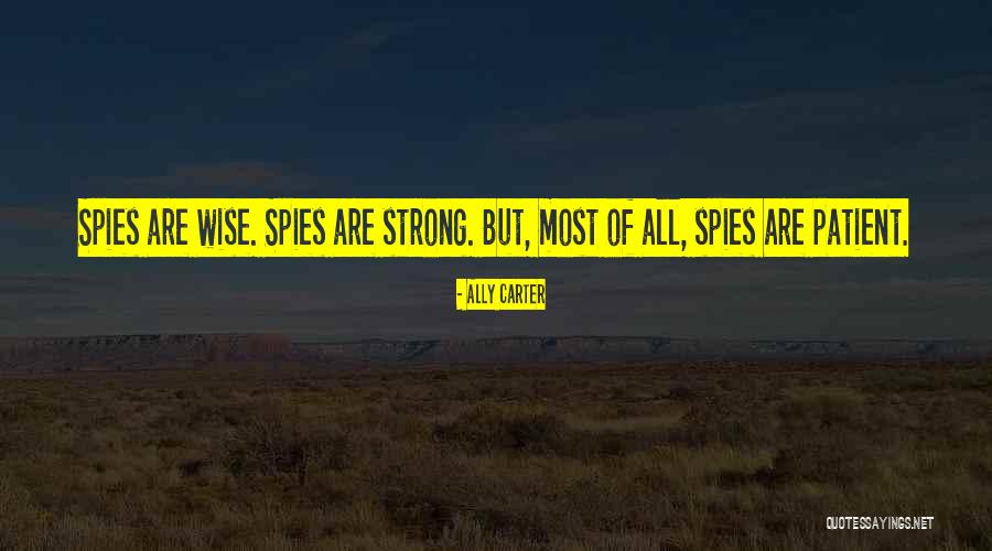 Miarisoa Quotes By Ally Carter Miarisoa Quotes By Ally Carter