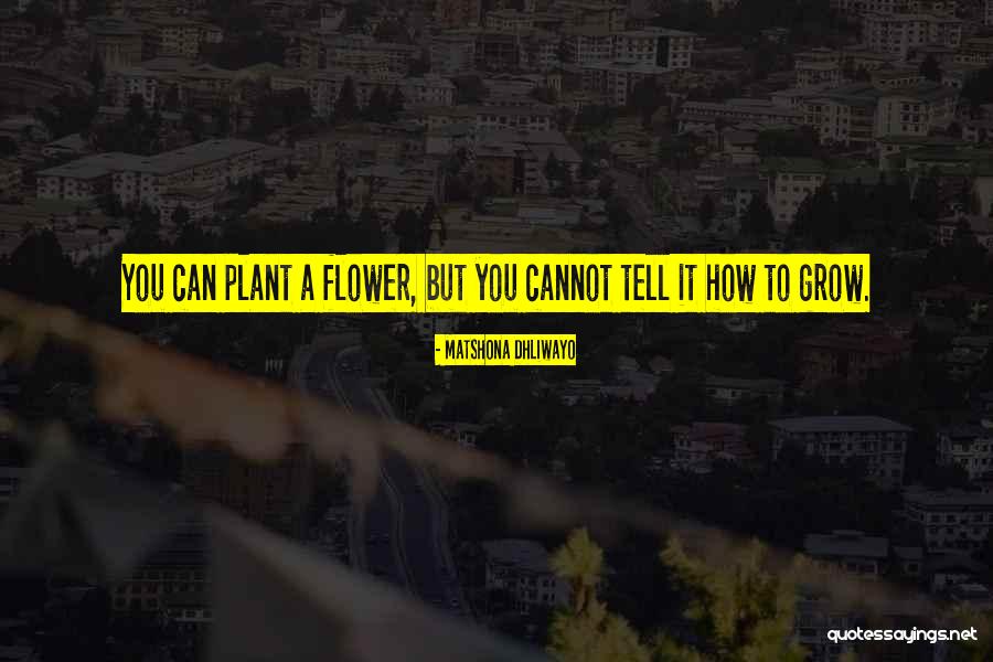 Miattivo Quotes By Matshona Dhliwayo Miattivo Quotes By Matshona Dhliwayo