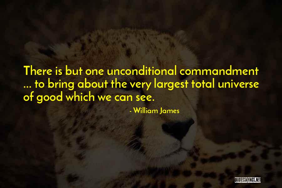 Miazzolo Quotes By William James Miazzolo Quotes By William James