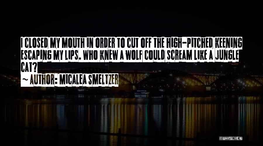 Micalea Smeltzer Quotes 613332