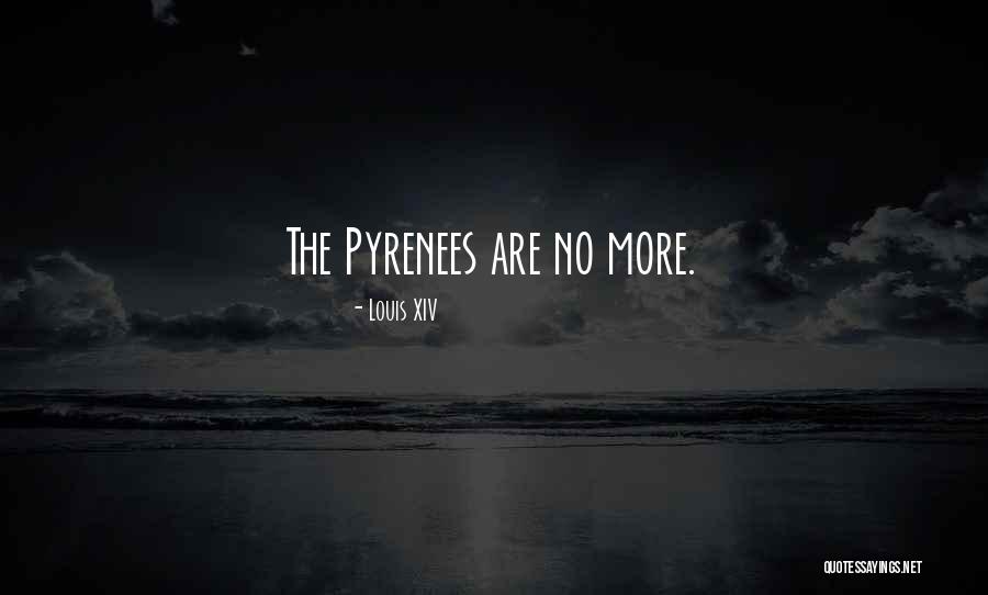 Micano Quotes By Louis XIV