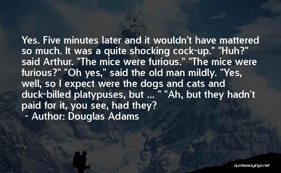 Mice And Cats Quotes By Douglas Adams