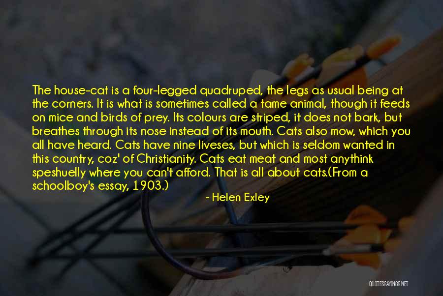 Mice And Cats Quotes By Helen Exley