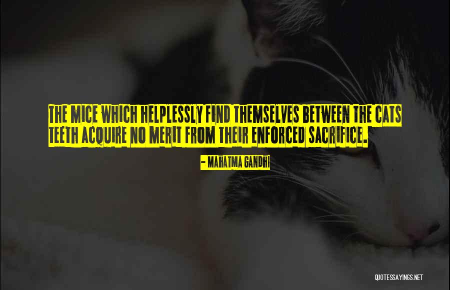 Mice And Cats Quotes By Mahatma Gandhi