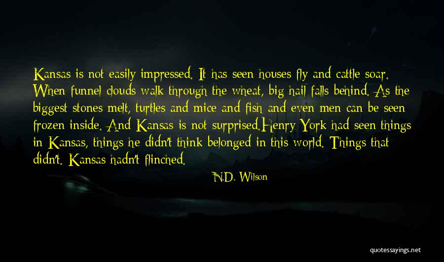 Mice In Of Mice And Men Quotes By N.D. Wilson