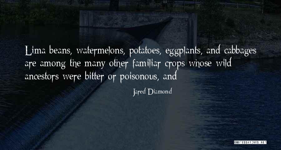 Micelis Ricotta Quotes By Jared Diamond Micelis Ricotta Quotes By Jared Diamond