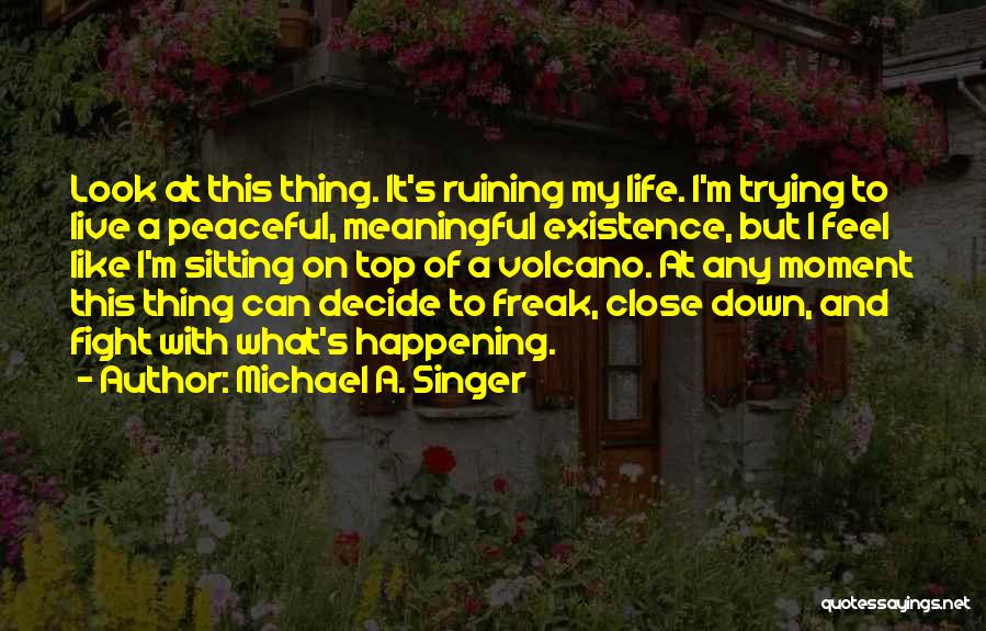 Michael A. Singer Quotes 1197749