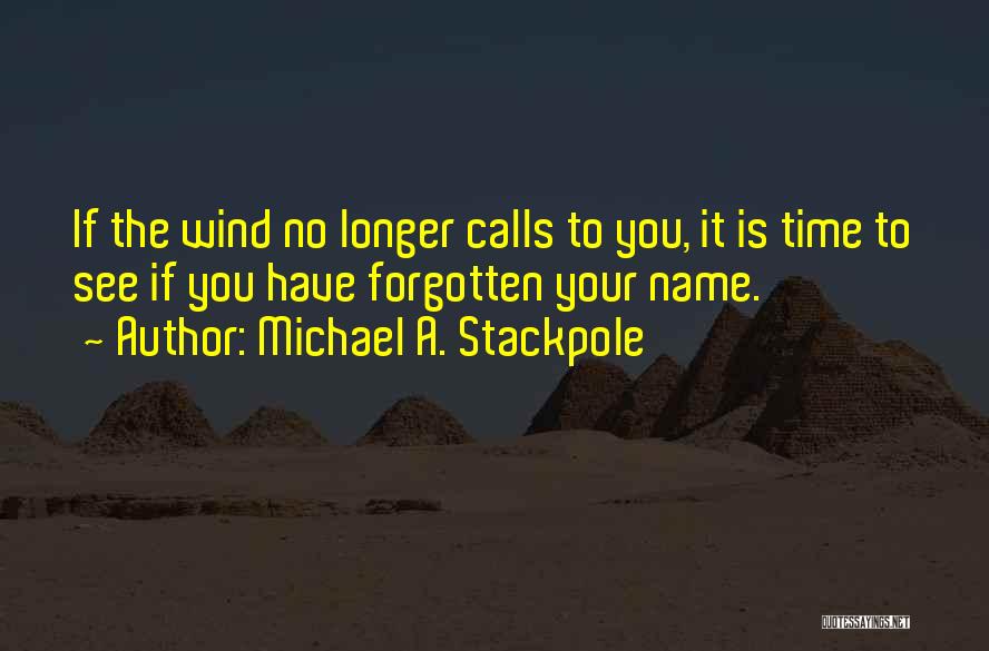 Michael A. Stackpole Quotes 814895