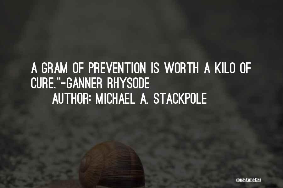 Michael A. Stackpole Quotes 983502