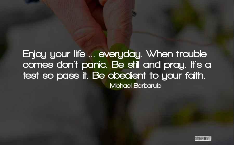 Michael Barbarulo Quotes 1516643