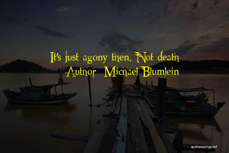 Michael Blumlein Quotes 159170