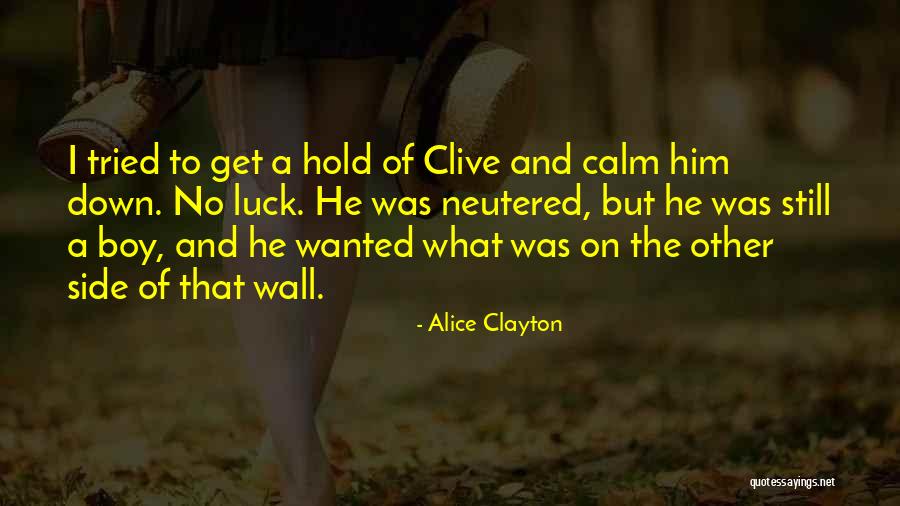 Michael Borremans Quotes By Alice Clayton Michael Borremans Quotes By Alice Clayton