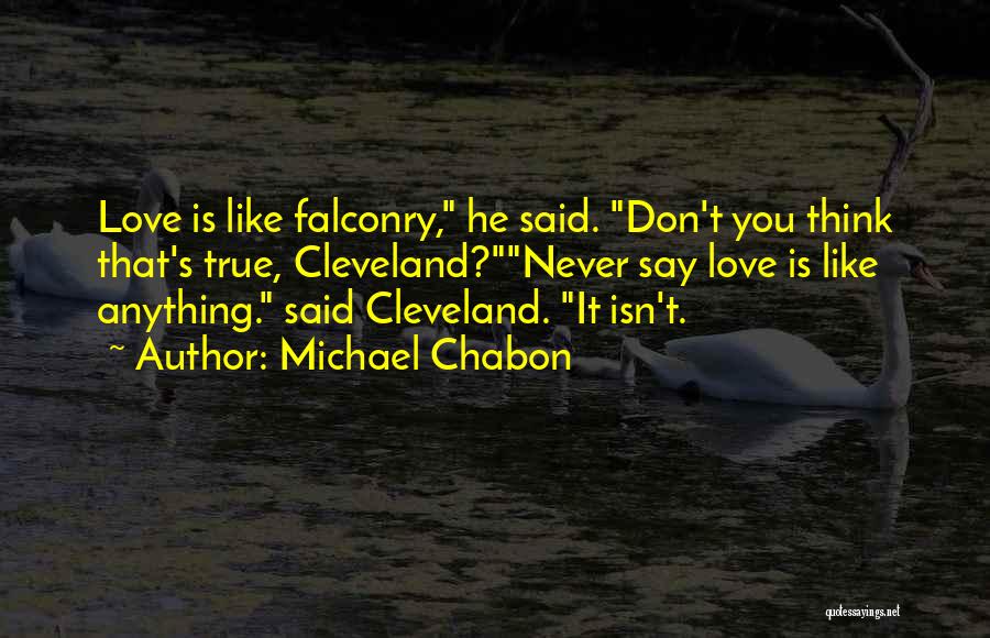 Michael Chabon Quotes 1884663