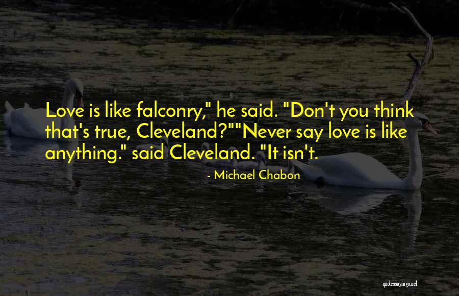 Michael Chabon Quotes 1884663