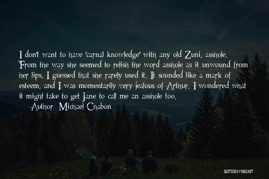 Michael Chabon Quotes 734472