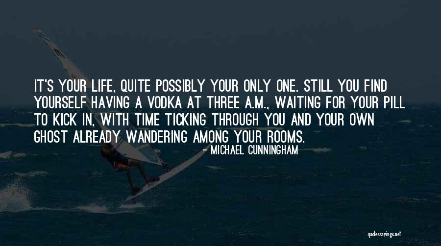 Michael Cunningham Quotes 112124