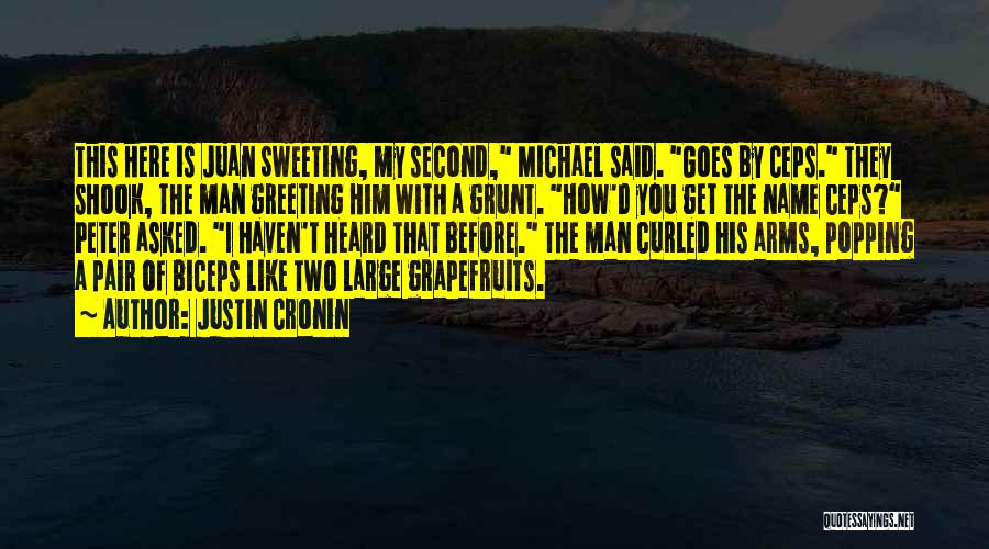 Michael D'angelo Quotes By Justin Cronin