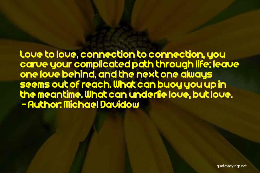 Michael Davidow Quotes 1030902