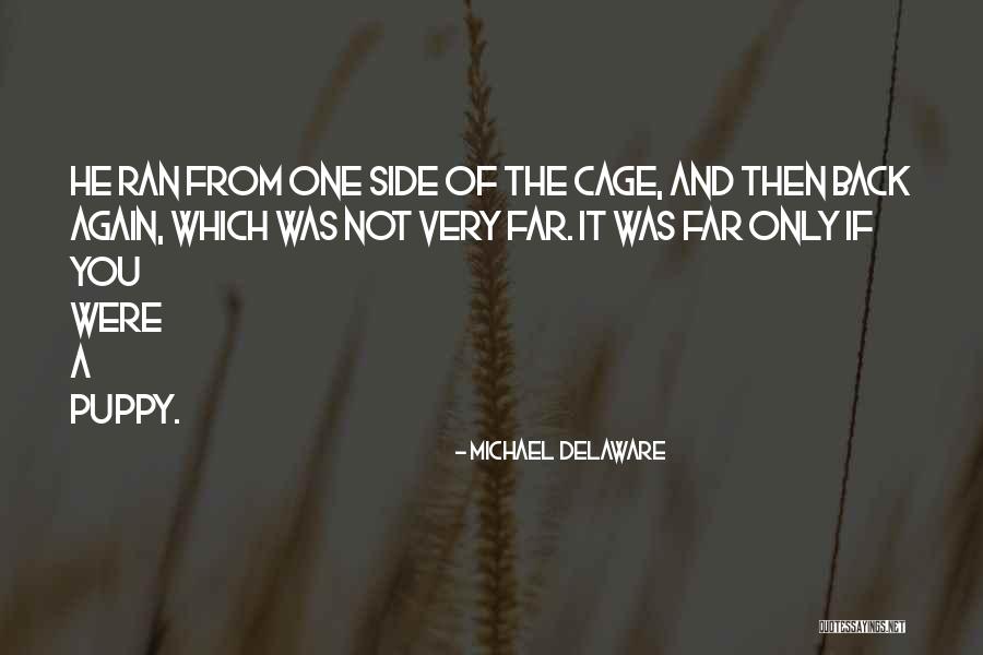 Michael Delaware Quotes 397304