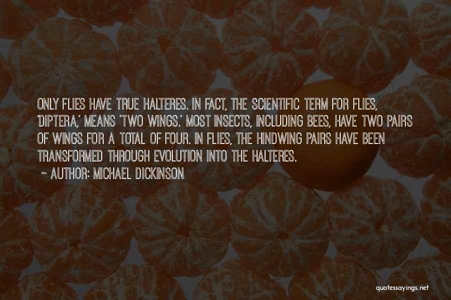 Michael Dickinson Quotes 1156600