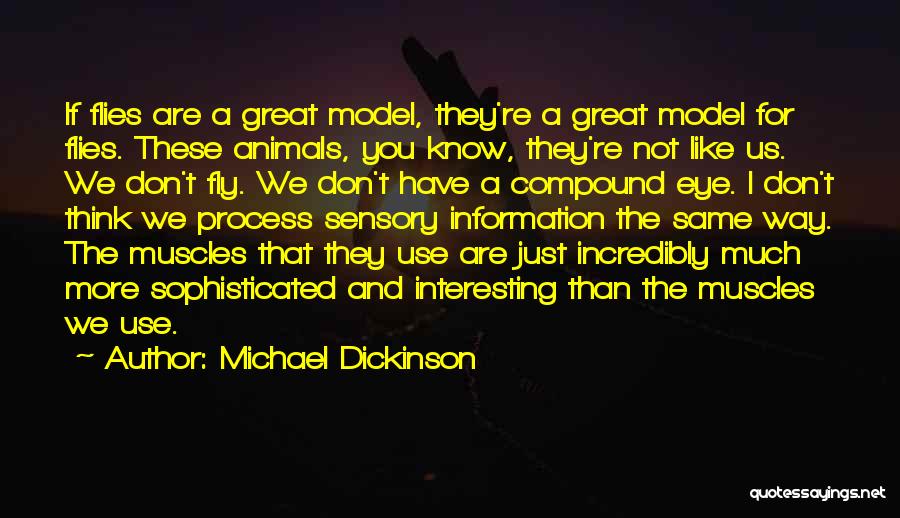 Michael Dickinson Quotes 1246355