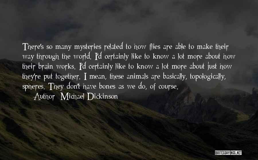 Michael Dickinson Quotes 1730982