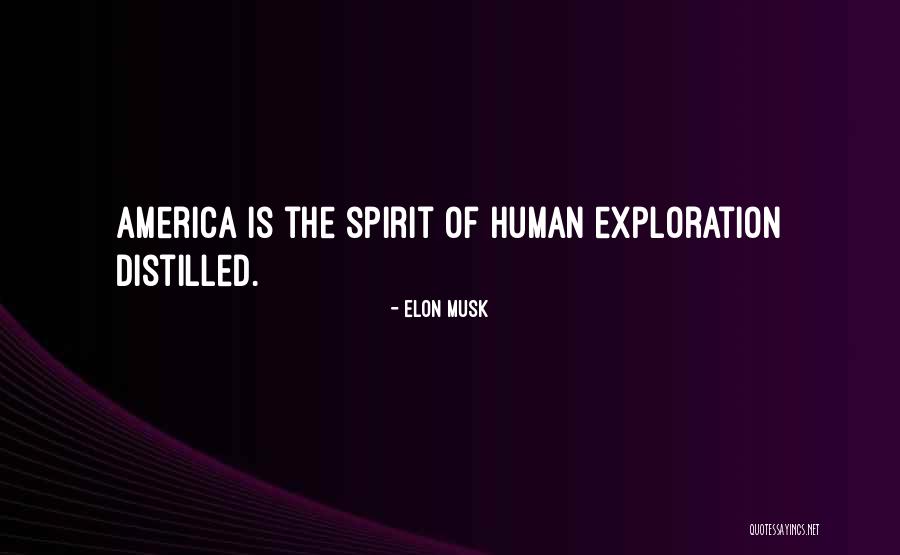 Michael Economides Quotes By Elon Musk