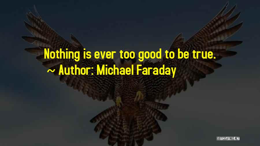 Michael Faraday Quotes 295126
