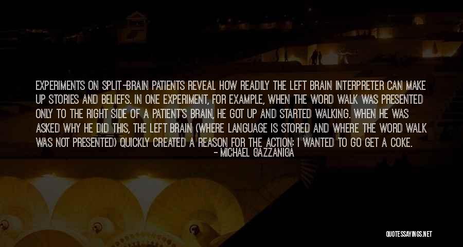 Michael Gazzaniga Quotes 2195089