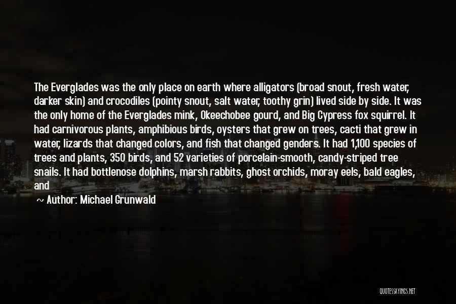 Michael Grunwald Quotes 1429449
